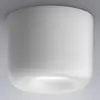 Image de Serien Lighting serien.lighting Cavity Ceiling L, blanc