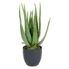 Image de Spetebo Plante artificielle d'aloe vera en pot - 45 cm - Plante décorative d'intérieur