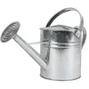 Image de Zink Arrosoir - 5 l - Arrosoir de jardin en métal pour fleurs d’intérieur et d’extérieur