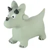 Image de Kindsgut Animal Sauteur pour Enfants, Couleurs discrètes et Modernes, détails soignés, Pompe à air Incluse, Dino