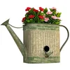 Image de DanDiBo Deko-Shop-Hannusch 481999 Nichoir Cabane à Oiseaux avec Pot de Fleurs à Suspendre en Métal Résistant aux Intempéries 40 cm