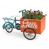 Image de DanDiBo 96530 Vélo pour fleurs debout en métal Bleu/orange