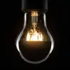Image de SEGULA Ampoule à tête miroir LED A67 E27 6,5W 2.700K