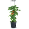 Image de Spetebo Pot de tomates rond avec tuteur - 153 x 29 cm - Aide à la croissance avec fond d'arrosage intégré - Tour de plantation pour plantes grimpantes - Hauteur réglable sur 4 positions