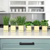 Image de Spetebo Assortiment d'herbes artificielles   Lot de 6   Plante artificielle avec pot de fleurs en papier   Ciboulette, persil, basilic, menthe, romarin, thym, art en pot