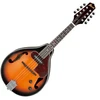 Image de Ibanez M510E Brown Sunburst