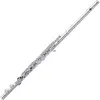 Image de 206S Alto Quantz - Tête droite + Patte d'Ut