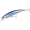 Image de Duo Spearhead Ryuki 80S SW AHA0011 Sardine