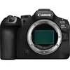 Image de CANON EOS R6 Mark III Nu