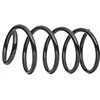 Image de KYB Front Coil Spring RA4108