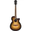 Image de AEG50-DHH Dark Honey Burst