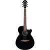 Image de Ibanez AEG50-BK Guitare folk Noir