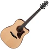Image de Ibanez Advanced Acoustic AAD300CE-Lgs
