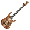 Image de Ibanez Premium RGT1220PB Antique Brown Stained