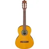 Image de Ibanez Acoustic guitar / GA2OAM Standard