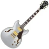 Image de Ibanez AS73G Moonstone Silver Flat