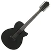 Image de Ibanez AEG1221 Black Out