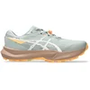 Image de Asics Chaussures De Running Fuji Lite 6