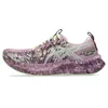 Image de Asics Noosa TRI 16 Running Shoes