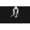 Image de ThunderX3 Fauteuil Gaming, Noir/Blanc/Gris/Bleu, Taille Unique