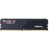 Image de G.Skill Ripjaws S5 Intel XMP 32 Go (1 x 32 Go) DDR5 5600 MHz CL 46-45-45-89 1,10 V Desktop Memory RAM - F5-5600J4645A32GX1-RS5K