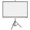 Image de Acer M87-S01MW Ecran projection fixable mur ou plafond