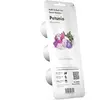 Image de Click and Grow Recharge Triple de Pétunias pour Smart Garden