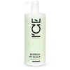Image de Natura Siberica Ice Professional Refresh My Scalp Shampooing 1000 ml