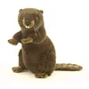 Image de Hansa - Peluche Castor Dressé 30cmH