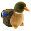 Image de Hansa - 3570 - Peluche Canard Colvert
