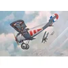 Image de Roden 059 modèle Kit Nieuport 24