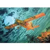 Image de Roden 439 Kit Fairchild au modèle -23 a Peacemaker