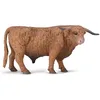 Image de Taureau Des Highlands - (L)