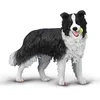 Image de Border Collie - (L)