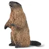 Image de CollectA Marmot   Figurine d'animal réaliste et finie à la main, mini modèles d'animaux sauvages, figurines d'animaux sauvages pour enfants, cadeaux de la nature pour les tout-petits et les enfants, à