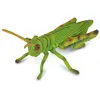 Image de Collecta - Col88352 - Sauterelle - Taille M