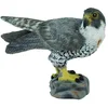 Image de Collecta - Col88399 - Faucon Pèlerin - Taille S