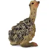 Image de Collecta Animaux Sauvages (S): Poussin d'AUTRUCHE Assis 2x1,5x4,5cm