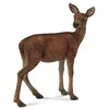 Image de Collecta - Col88470 - Biche - Taille M