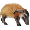 Image de Collecta - Col88554 - A. Sauvages -potamochères - Taille L