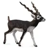 Image de Collecta - 3388638 - Figurine - Animaux Sauvages - Antilope