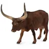 Image de CollectA Krowa Ankole-Watusi