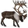 Image de Collecta - Col88709 - des Bois - Caribou - XL