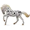 Image de Collect A 88720, Cheval Jument Knabstrup, Léopard Sombre, 1:20