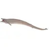 Image de Collecta 88797 - Basilosaurus