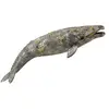 Image de CollectA Gray Whale