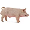 Image de Collecta 88864 Cochon mâle
