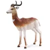 Image de Collecta 88865 Gacela DAMA