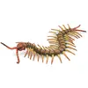 Image de Collecta Insectes (L): Mille-Pattes 18x3cm