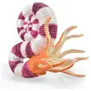 Image de Collecta Global Ltd. Figurine préhistoire L : Pravitoceras